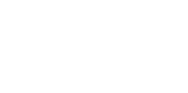 Đối tác active fox